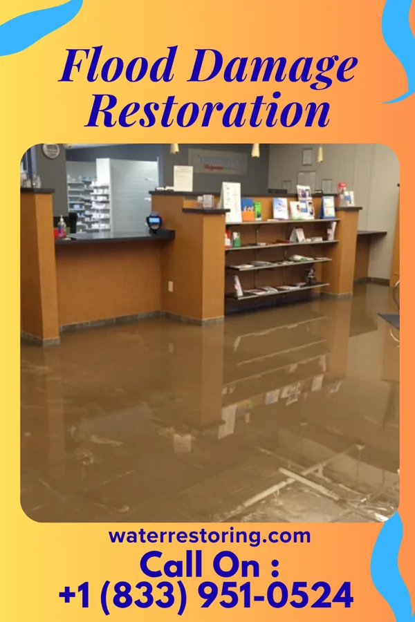 Flood Damage Restoration in Trommald, MN