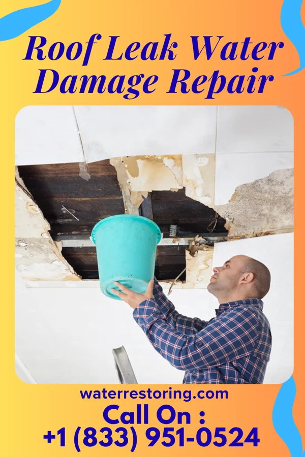 Roof Leak Water Damage Repair in Trommald, MN